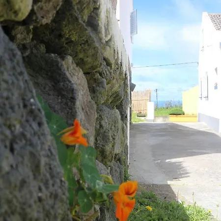 Casa Camarinhas Raal 542- Casa Partilhada 招待所 Ginetes