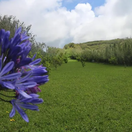 Casa Camarinhas Raal 542- Casa Partilhada 3*