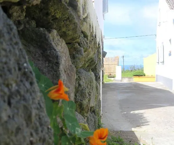 Casa Camarinhas Raal 542- Casa Partilhada 게스트하우스 Ginetes