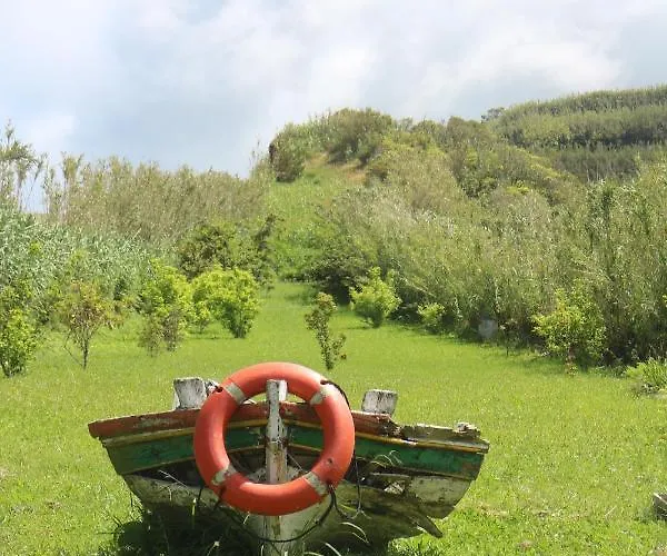 게스트하우스 Casa Camarinhas Raal 542- Casa Partilhada Ginetes